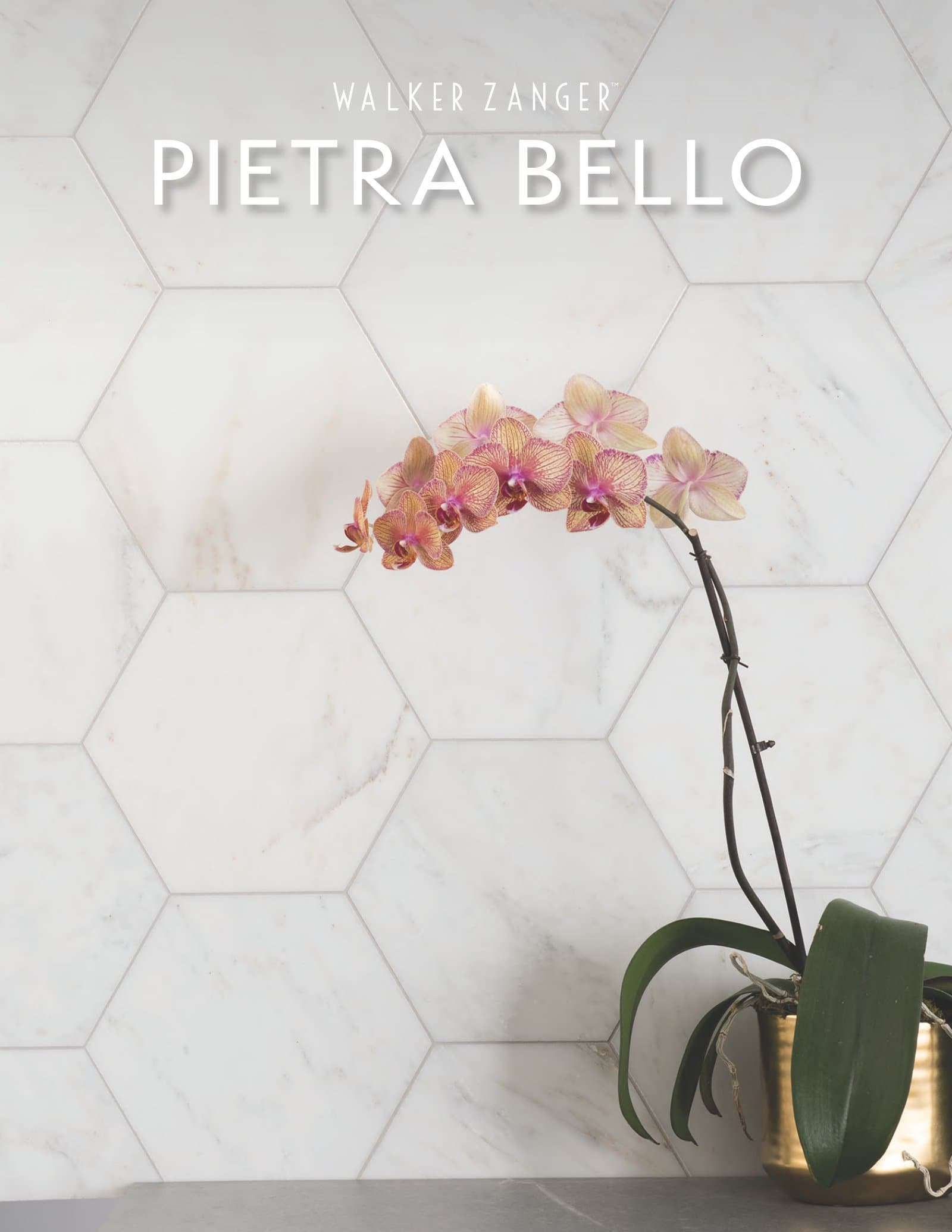 Walker Zanger Pietra Bello Marble Collection