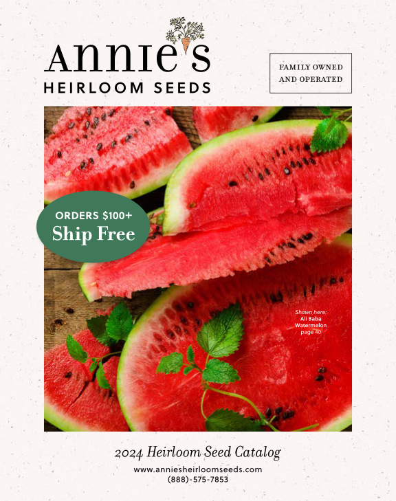 Annie's