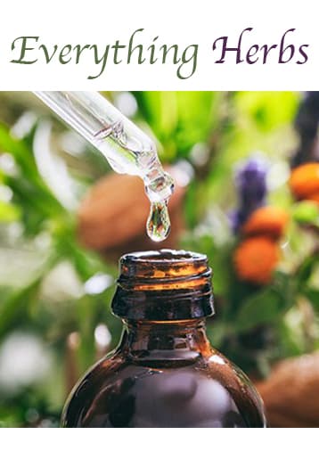 Everything Herbs catalog cover