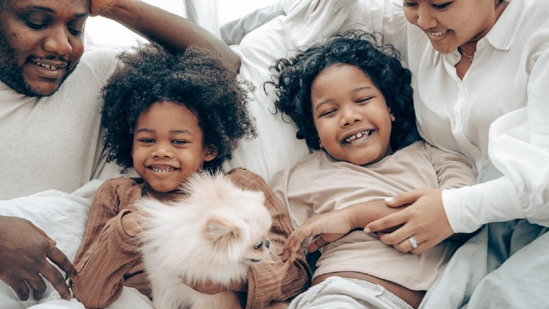 Top 10 Most Common Pets Americans Keep in their Households