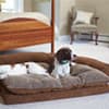 Photo of Bed & Mats