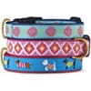Photo of Collars & Leashes