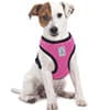 Photo of Harnesses
