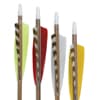 Photo of Arrows