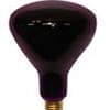 Photo of Black Lights & Accessories