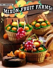 Mixon Fruit Farms