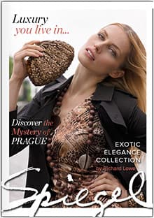 Alternatives to Spiegel Catalog