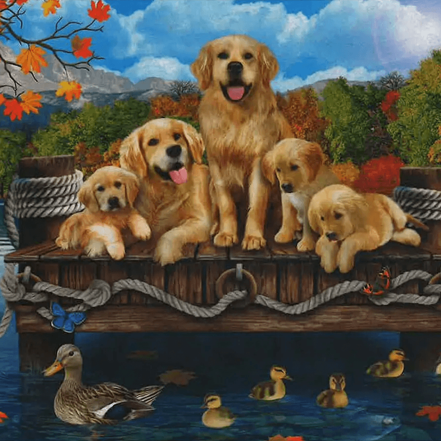 Photo of Seasonal
