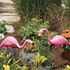 Photo of Landscaping & Décor