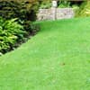 Photo of Lawn Maintenance