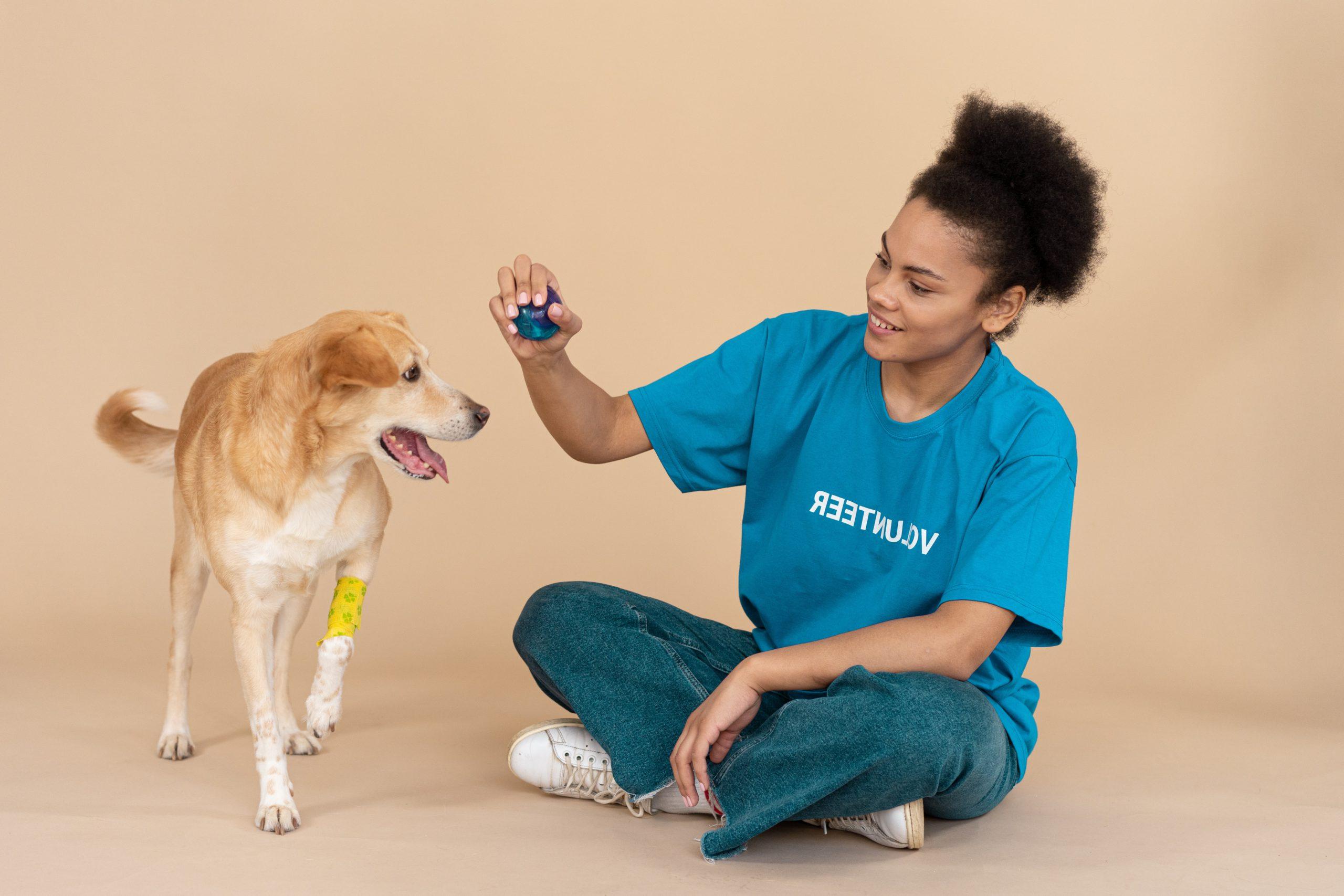 What are the Top 10 Common Dog Health Problems