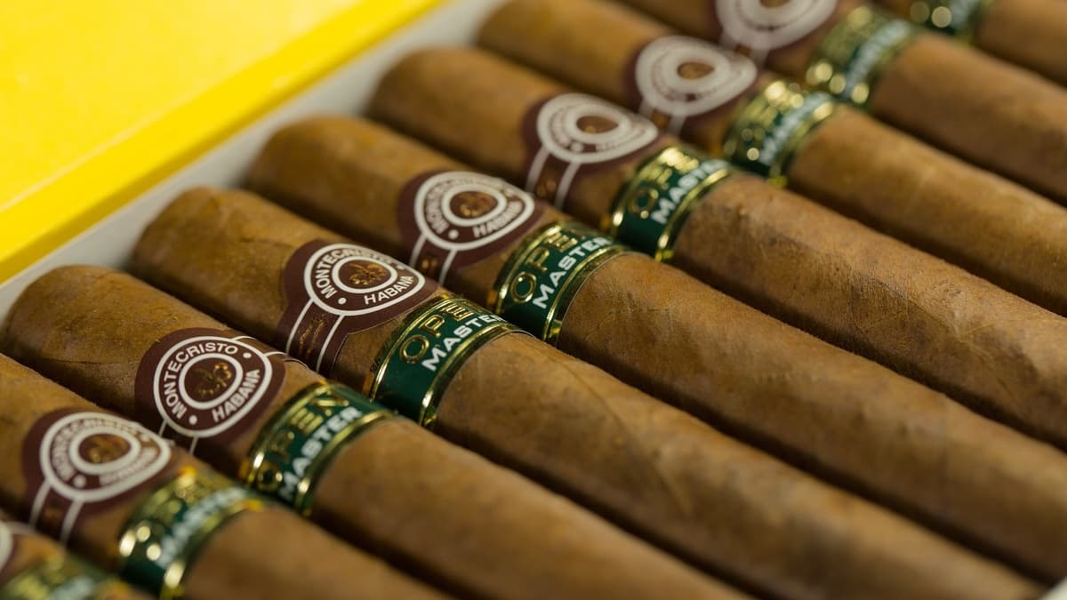 Famous Cigar Smokers: A Tampa Veteran's Take on Hollywood's Regulars
