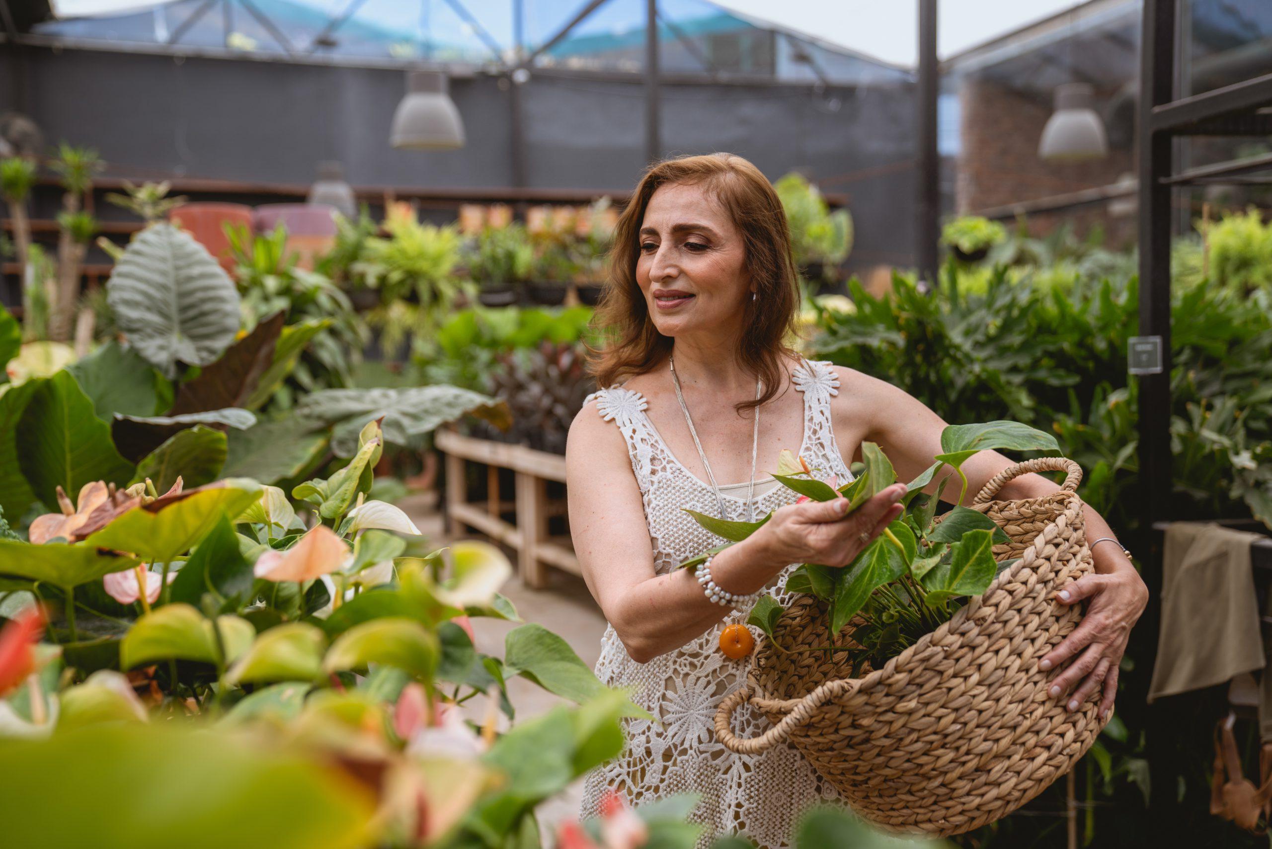 Ultimate Gardening Guide: What to Plant in your Garden