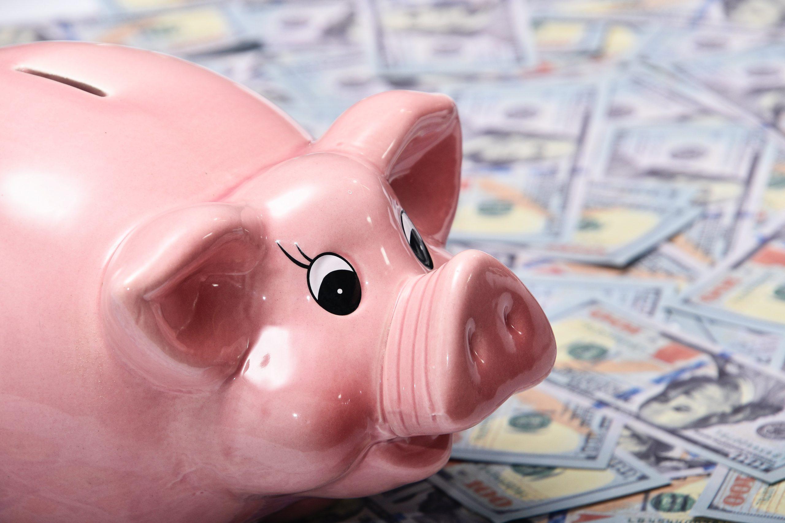 10 Best Frugal Living Tips for You
