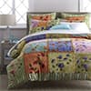 Photo of Duvet Covers