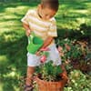 Photo of Yard & Garden