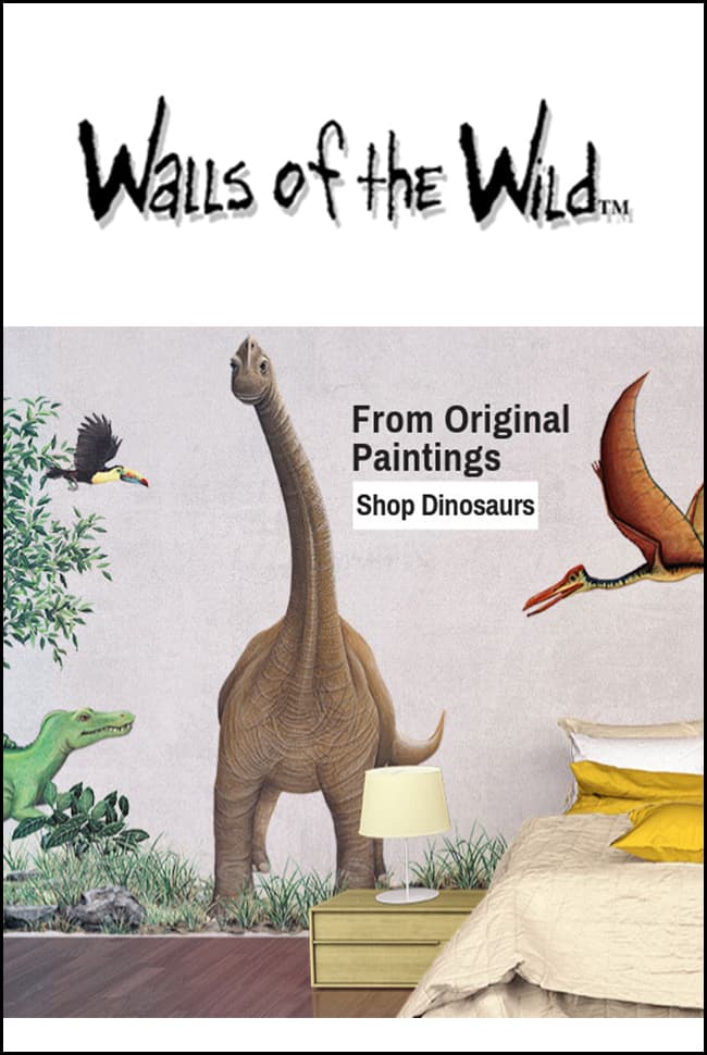 Walls of the Wild