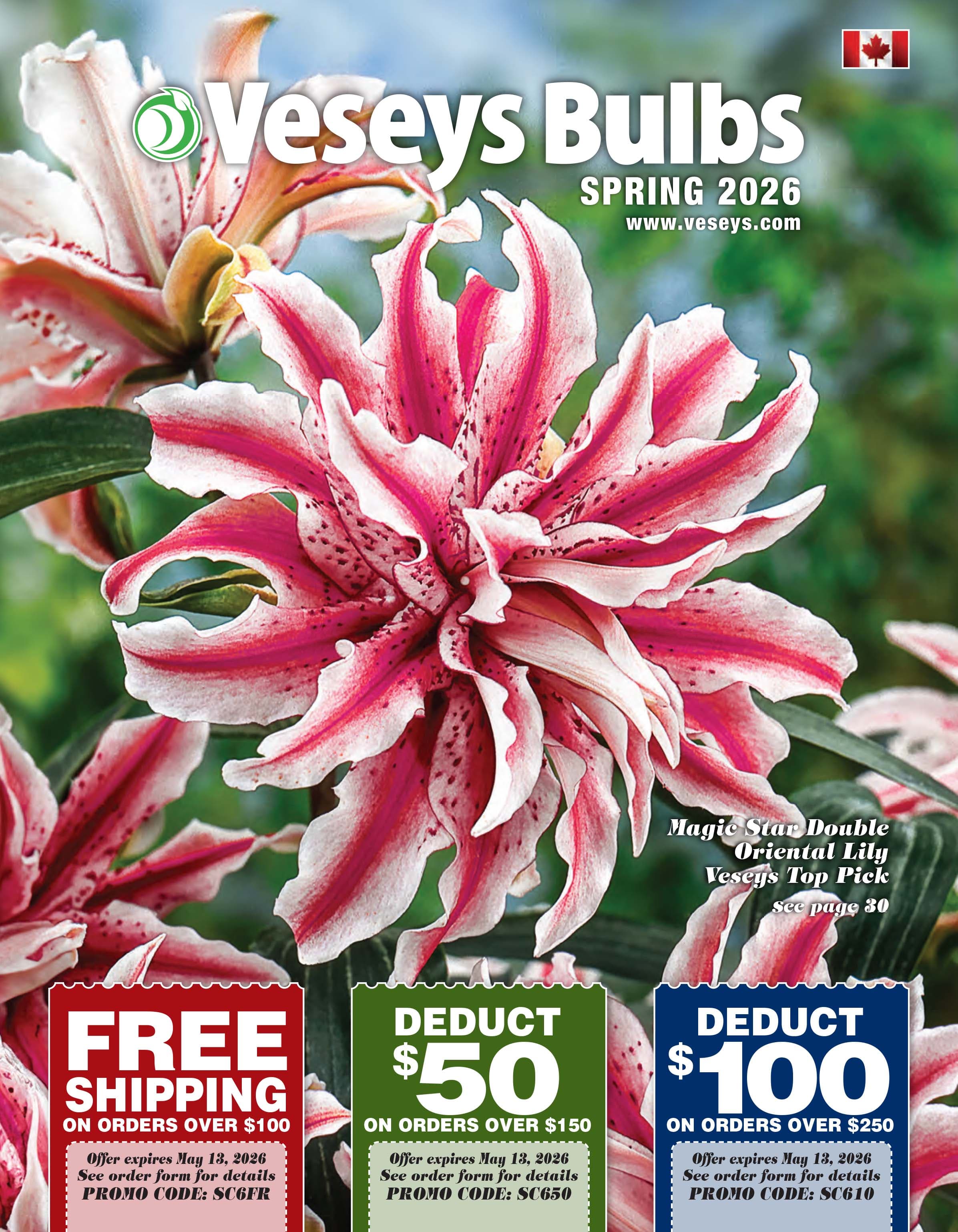 Veseys Bulbs catalog cover