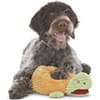 Photo of Toys & Treats