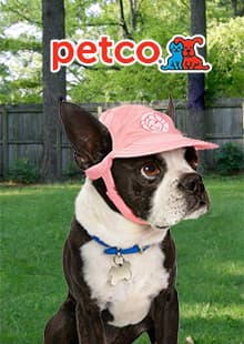 Petco
