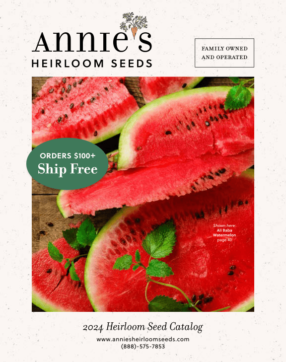 Annie's