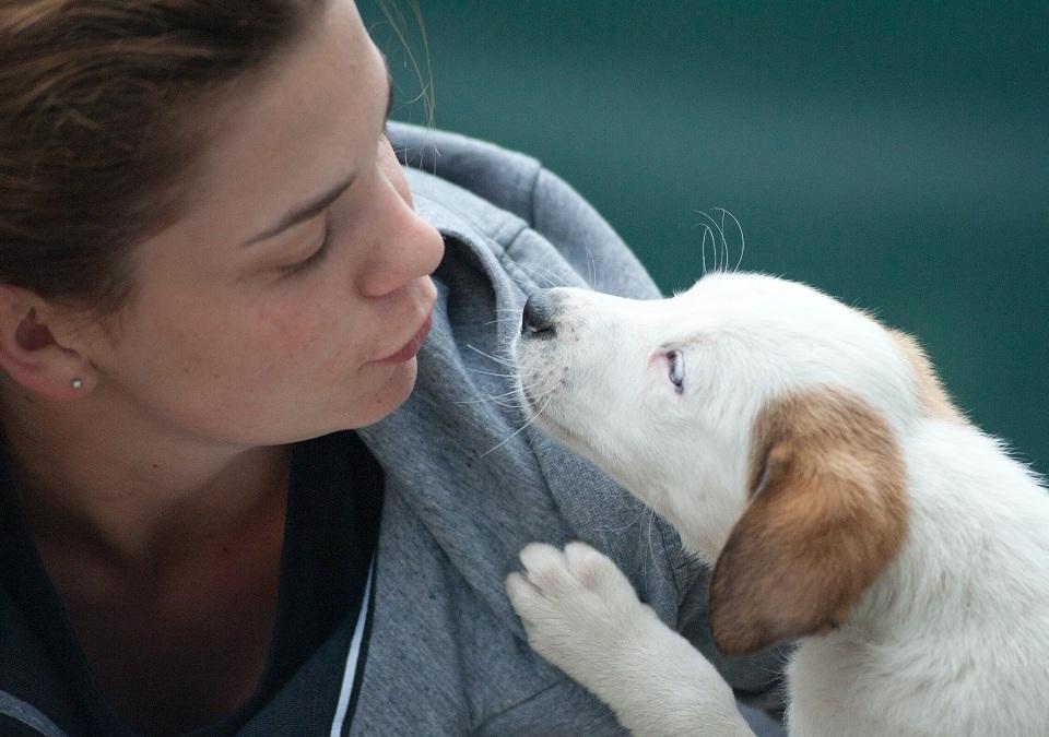 Free Catalog Blair Home 2024 Mail Order Catalog Request