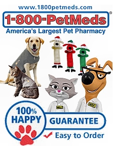 pets medicine