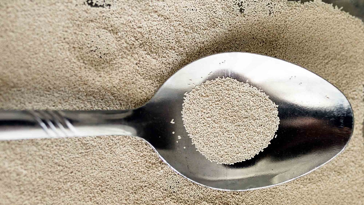 Where Does Yeast Come From? Interesting Kitchen Facts