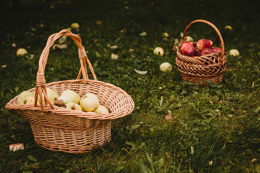 Various Colorful Vegetables in a Basket