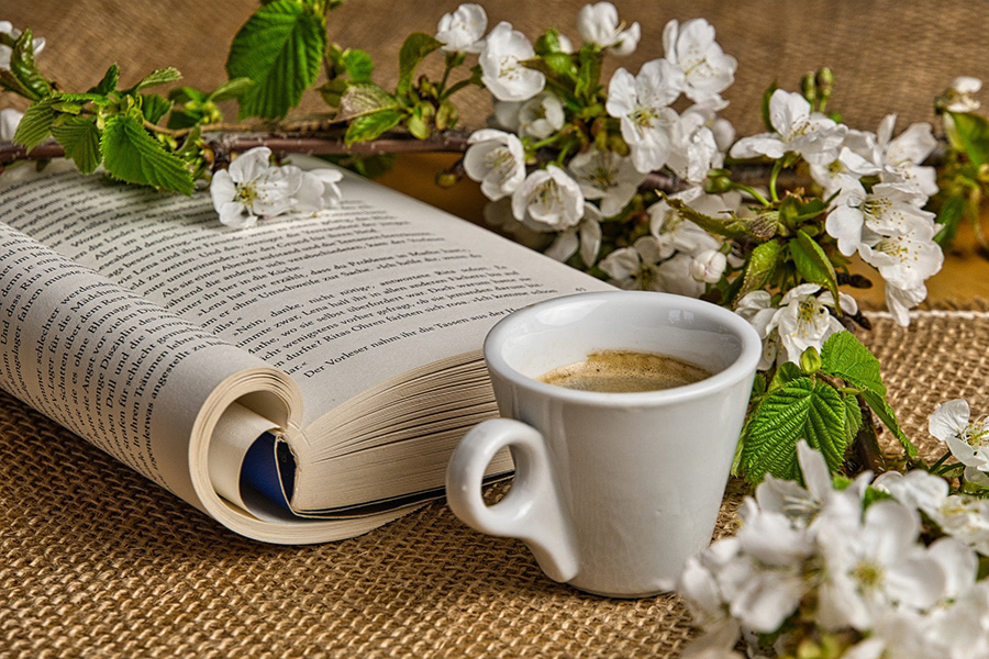 Some Flowers Scattered over an Open Book Next to a Cup of Tea