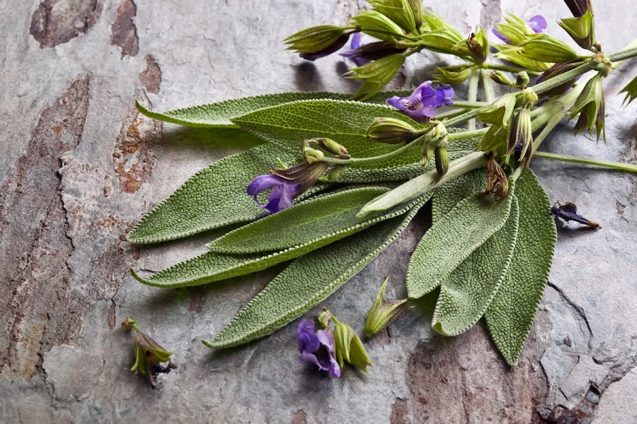 herbs to grow in your kitchen garden