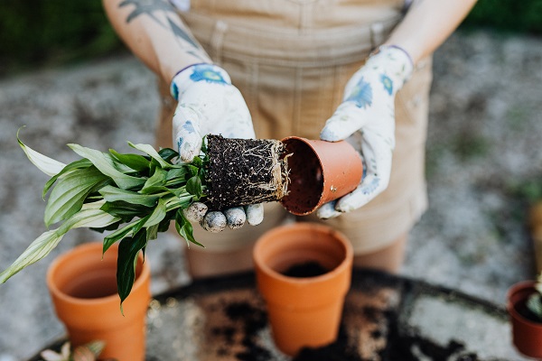 gardening gift
