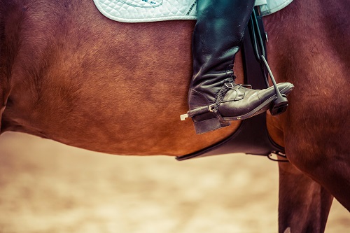 Horseback Riding in the Fall