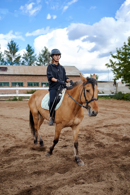 horseback riding helmet
